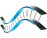 Image of dna